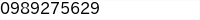 電話番号